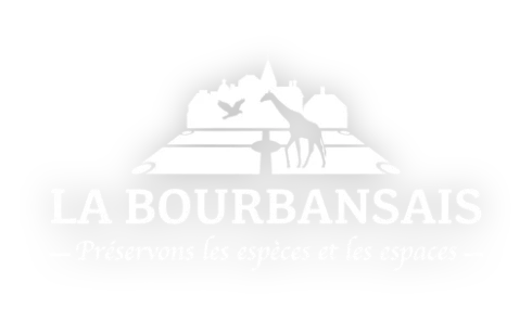 Bourbansais